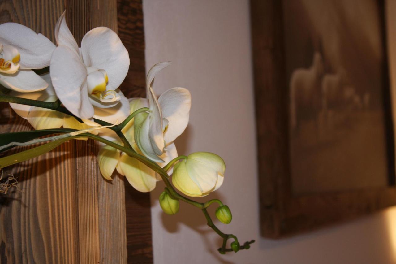 Haus Berghoamat Apartment ฟิลซ์โมส ภายนอก รูปภาพ
